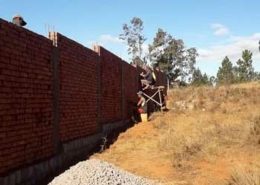 Proyecto Tsarafandray: Hogar para niñas huérfanas y abandonadas en Antananarivo en Madagascar. Fundación AMIST.